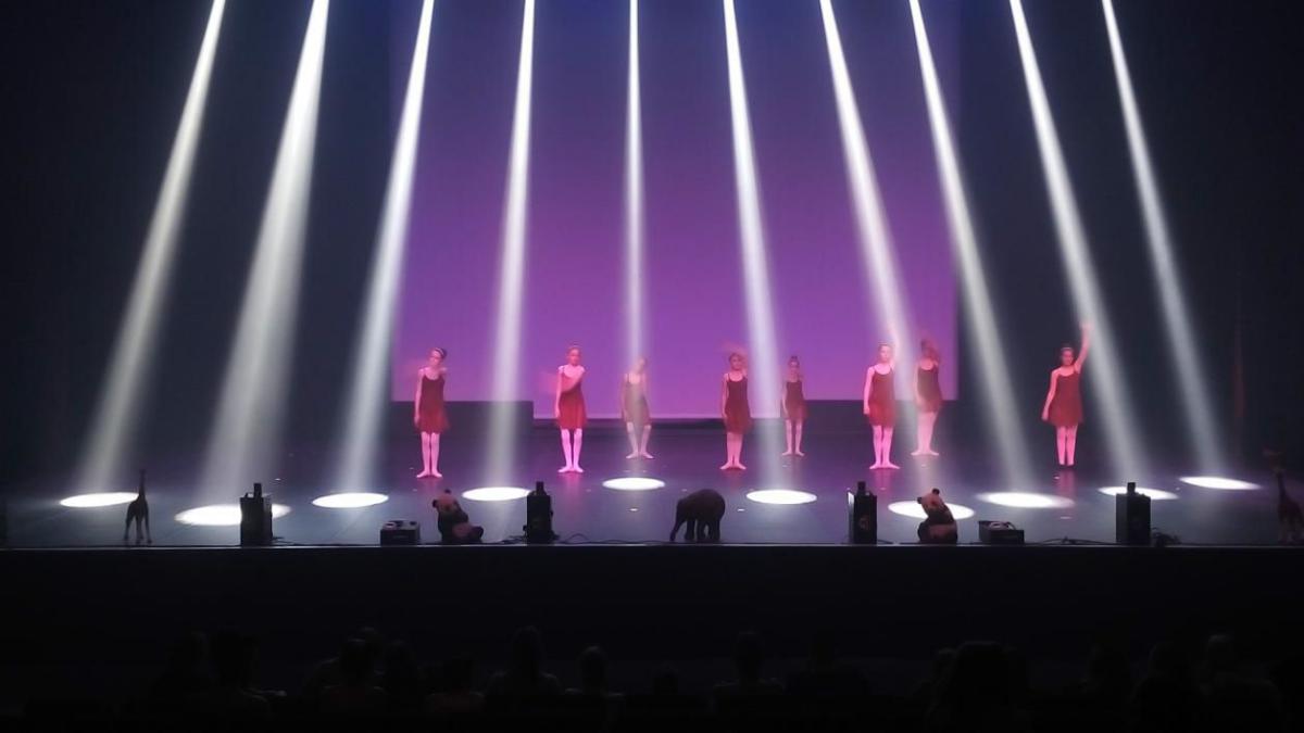 omega smoke systems, pro hazer co2, prosmoke 700,